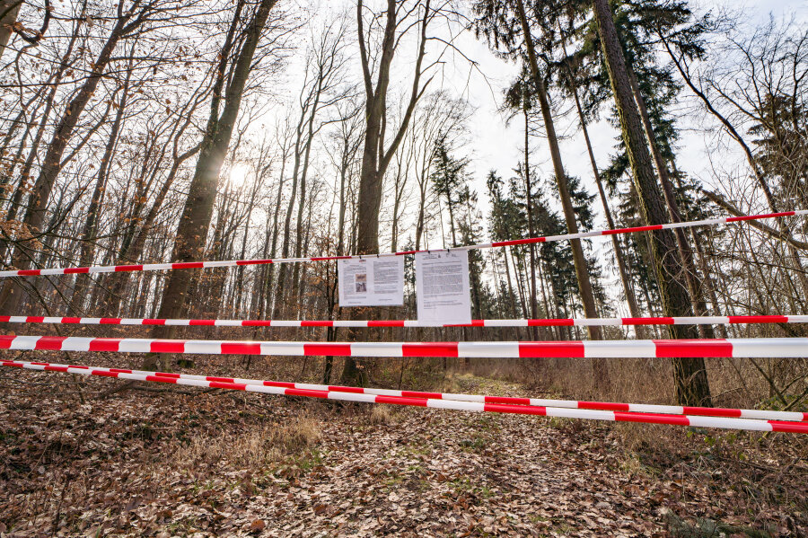 Nach Sturm "Eberhard": Stadt sperrt Wälder - 