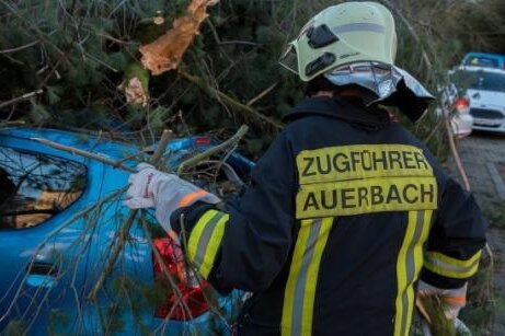 Nach Sturm: Im Vogtland noch Straßen gesperrt - Vogtlandbahn fährt wieder - Am Katholischen Berg in Auerbach stürzte ein Baum auf mehrere Autos und sorgte für Sachschaden.