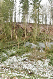 Nach Sturmschäden: Strecke nach Weißenborn wieder frei - Am Ortseingang Weißenborn waren in Richtung Lichtenberg mehrere Bäume in die Mulde gestürzt. 