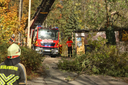 Nach Sturmtief: Feuerwehr beseitigt noch immer Sturmschäden in Hohenstein-Ernstthal - Die Einsatzkräfte der Freiwilligen Feuerwehr mussten an mehreren Bäumen Äste entfernen, die drohten, herabzustürzen. 