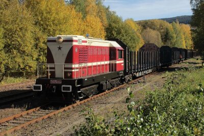 Nach Unfällen von Holztransportern im Erzgebirge: Verein schlägt stärkere Eisenbahnnutzung vor - Bereitstellen von speziellen Güterwagen zum Transport von Langholz an der Verladestelle in Grünstädtel.