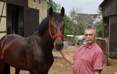 Nach Unfall mit Kutsche verlässt Pferdezüchter die Klinik - Gerd Pohlers mit dem vierjährigen Hengst "ValegroP", der am Tag des Unfalls erst zum dritten oder vierten Mal ineine Kutsche eingespannt war. 
