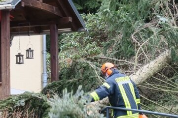 "Nadia" beschert Wehren Dauereinsatz - In Schwarzenberg beseitigte die Feuerwehr einen Baum, der genau vor den Eingang eines Wohnhauses gefallen war. 