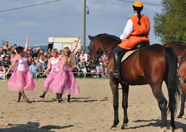 Schauveranstaltungen des Oelsnitzer Pferdesportvereins