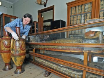 
              <p class="artikelinhalt">Museumsleiterin Ulrike Budig säubert Nordafrikanische Amphoren, die um 1900 entstanden sind. Viel älter, nämlich 2600 Jahre, ist die Mumie Shep-en-Hor. </p>
            