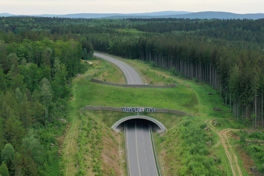 Mittlerweile ist die Brücke grün. Sie verbindet die Biotope des Hartmannsdorfer Forstes.