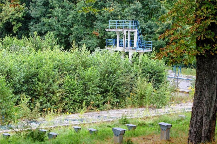 Naturbad Lichtenstein: Entscheidung erneut verschoben - Seit 20 Jahren ist das Lichtensteiner Freibad geschlossen und hat sich zur Wildnis entwickelt. Momentan wird es von christlichen Pfadfindern genutzt.