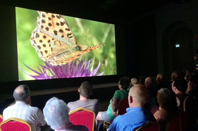 Naturdoku überzeugt mit tollen Bildern und benennt Problem - Beeindruckende Naturaufnahmen machen Teil 1 der Trilogie "Endlich(e) Vielfalt" aus. Zudem kommen Experten zu Wort. Ihren Appell im Kampf um die Biodiversität hörten bei der Premiere im voll besetzten Kino von Schneeberg150 Zuschauer. 