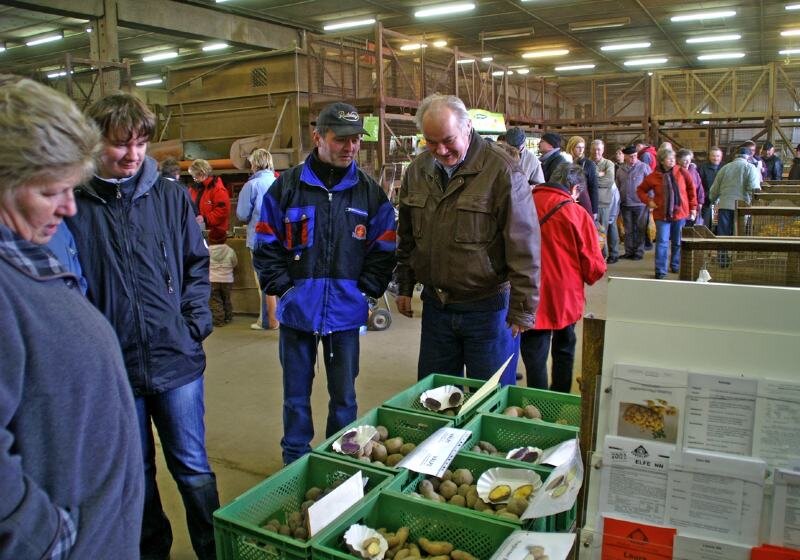 Naturmarkt lockt gut 6000 Leute an - 
              <p class="artikelinhalt">Der Großwaltersdorfer Pflanz- und Naturmarkt war am Samstag gut besucht. Mehr als 6000 Interessierte schauten sich bei der Kartoffellager- und Handelsgenossenschaft "Unteres Erzgebirge" um.  </p>
            