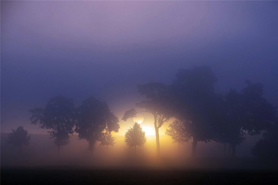 Nebel verwandelt das Vogtland in ein mystisches Reich - Ein mystischer Sonnenaufgang bei Kürbitz im Vogtland.