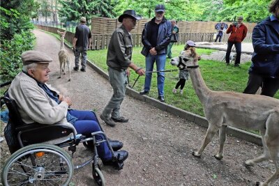 Neue Attraktion: Warum ein Freiberger dem Tierpark ein Alpakagehege schenkt - Die Freude über die drei Alpakas ist dem Spender Arndt Müller anzusehen.