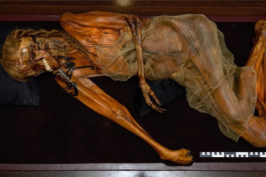 Neue Ausstellung im Smac: Die Mumie und der Schmuck - Durfte Russland nicht verlassen: Die geplante Leihgabe der über 2200 Jahre alten Mumie eines Reiterkriegers mit deutlicher Tätowierung auf Schulter und Arm. In der Ausstellung im Smac wird nun ein 3D-Scan der Mumie auf einen leeren Vitrinensockel projiziert. 