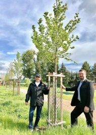 Neue Bäume und moderne Halle: Bockau putzt Grundschule heraus - Bürgermeister Siegfried Baumann (links) und Markus Teubner freuen sich über die jungen Laubbäume auf dem Schulareal. 