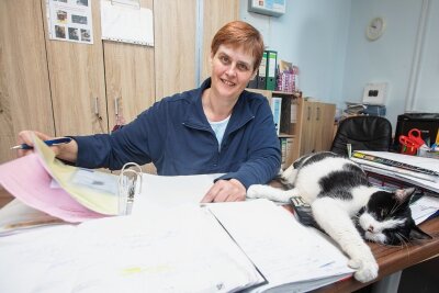Neue Plauener Tierheimchefin erwartet eine Katzenschwemme - Die neue Tierheimchefin Antje Kausch teilt vieles mit ihren Tieren - auch den Schreibkram einer Chefin. Denn: Eigentlich ist dieser Kater der Chef, wie sein Name "Bürgermeister Charly" erahnen lässt. 