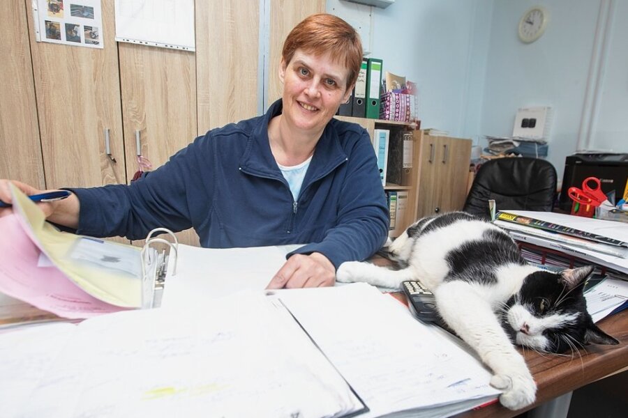 Die neue Tierheimchefin Antje Kausch teilt vieles mit ihren Tieren - auch den Schreibkram einer Chefin. Denn: Eigentlich ist dieser Kater der Chef, wie sein Name "Bürgermeister Charly" erahnen lässt. 