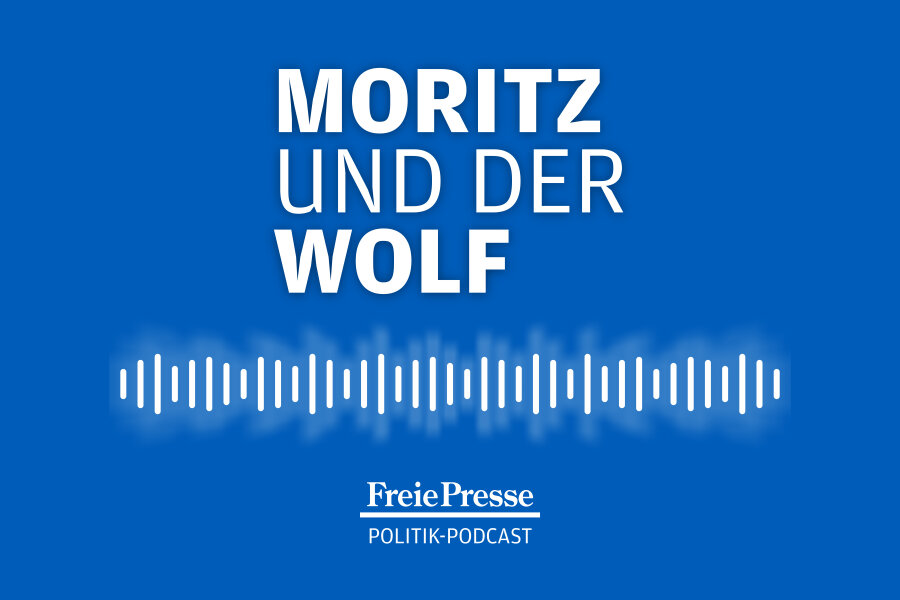 Neue Podcast-Folge von "Moritz und der Wolf": Wann gibt's Schulessen für lau? - 