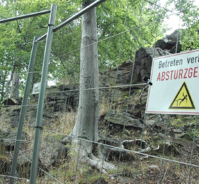 Neue Wege für alten Park - Noch gibt es zahlreiche kritische Stellen auf dem bewaldeten Felsmassiv des Ottensteins, die momentan abgesperrt werden. 