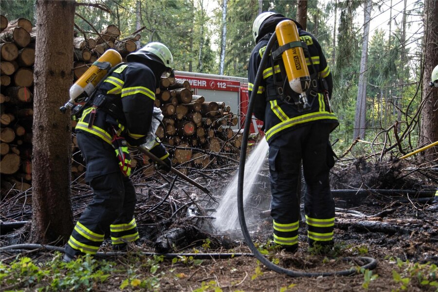 Neuer Anlauf im Brandstifter-Prozess von Freiberg - Am 3. August 2017 löschte die Feuerwehr ein offenkundig gelegtes Feuer im Fürstenwald nahe der B 101 bei Freiberg. Insgesamt hatte die Polizei zu 21 Brandstiftungen in dem Waldstück ermittelt.