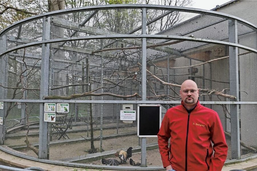 Neuer Betreiber für Vogelvoliere in Waldenburg: Im Internet gibt es viel Lob für das Engagement von Ronny Bergner - Ronny Bergner kümmert sich seit einigen Tagen um die Vogelvoliere. 