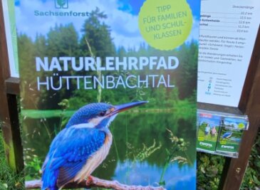 Neuer Flyer für Hüttenbachtal - 
