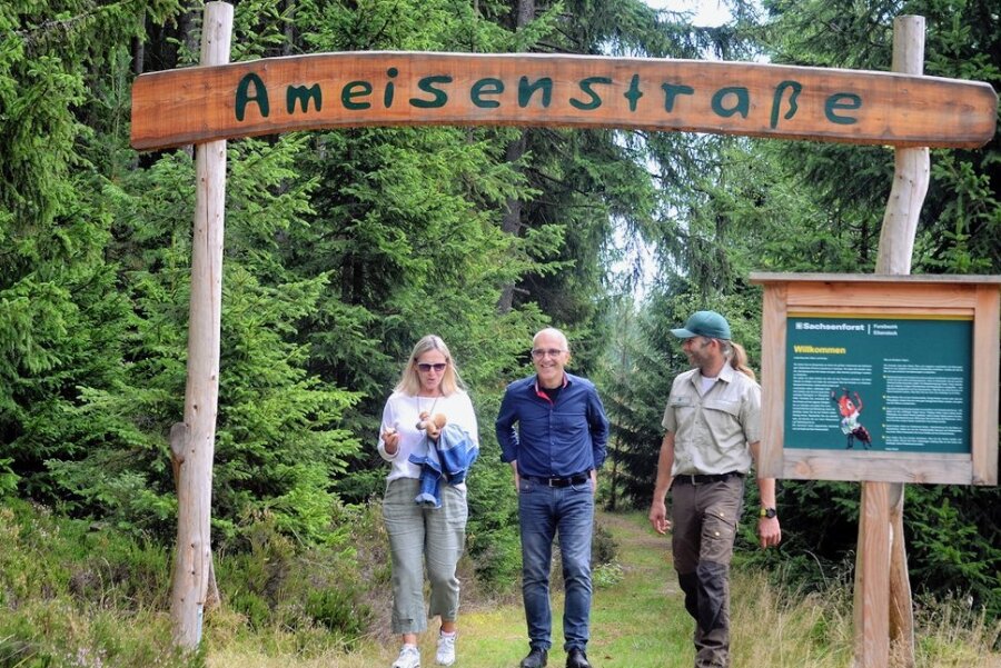 Forstwirt Silvio Heymann (rechts) vom Revier Grünheide führt Jana Schneider vom Tourismusbüro der Stadt Auerbach und Joachim Otto vom Waldpark über den neuen Lehrpfad im Zinsbachtal.