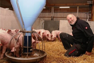 Neuer Öko-Stall für mehr Tierwohl im Vogtland - Udo Weymann setzt auf viel Tierwohl im neuen Schweinestall. 