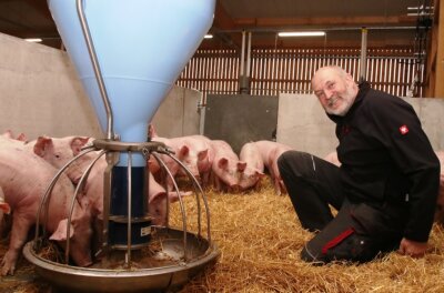 Neuer Öko-Stall für mehr Tierwohl - Udo Weymann setzt auf viel Tierwohl im neuen Schweinestall. 