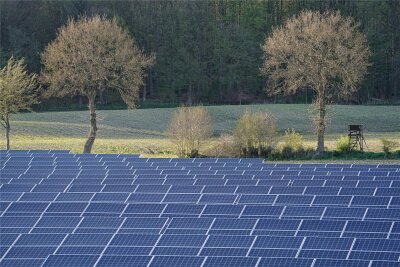 Neuer Solarpark im Erzgebirge: Investor wird von Stadtrat in die Warteschleife geschickt - Ein Solarpark wie auf diesem Bild aus Schleswig-Holstein soll bei Eibenstock entstehen. Der Stadtrat hat sich zu den Plänen skeptisch geäußert.