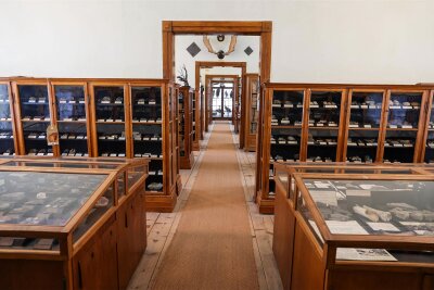 Neues Buch „Wunderkammer Waldenburg“ wird in Leipzig präsentiert - Blick in das Museum Naturalienkabinett Waldenburg.