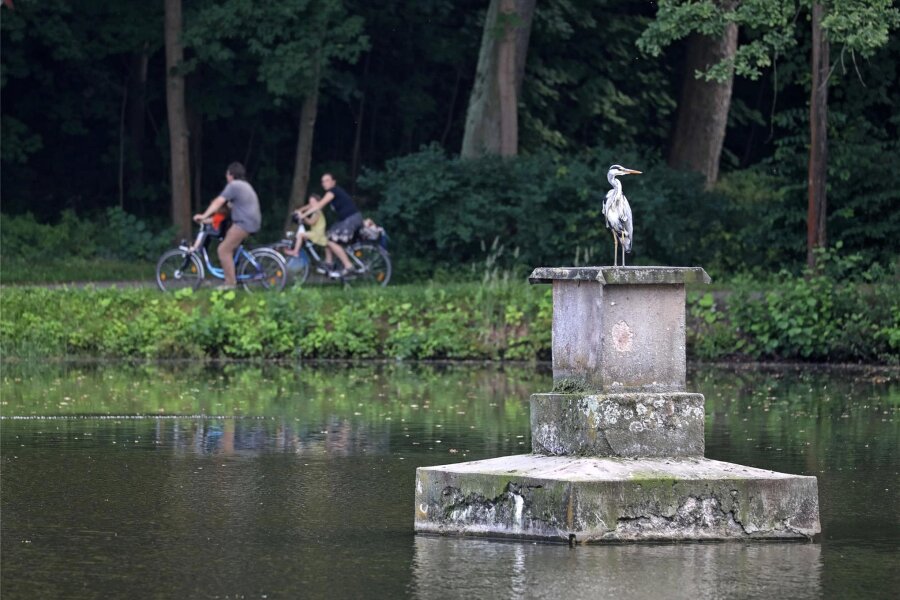 Neues Bürgerbudget in Glauchau: Neptun kehrt zurück - Der Sockel, auf dem die Neptunfigur stand, dient heute im Gründelpark Glauchau den Graureihern als Platz, um Ausschau zu halten.