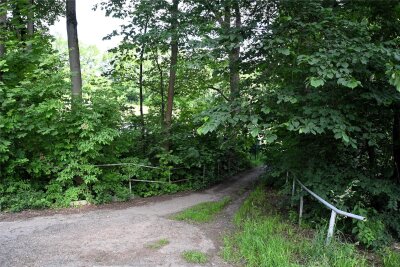 Neumark lässt in den kommenden sechs Jahren 24 Brücken prüfen – doch eigentlich ist es viel zu spät - Der Zugang zum Park in Neumark geht über diese Brücke, auch wenn man wenig von ihr sieht. Sie war schon einmal gesperrt.