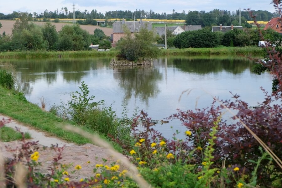 Neuwürschnitz bewirbt sich bei Dorfwettbewerb - Dorfidylle pur: der Schwemmteich. Aber Neuwürschnitz hat noch mehr zu bieten als viel Grün und Gewässer - vor allem ein sehr aktives Vereinsleben, das Jung und Alt vereint. 