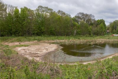 Nicht ganz dicht: Trauerspiel um Teich - Selbst dieser niedrige Wasserstand wird nur durch permanentes Zupumpen aus der Göltzsch erreicht.