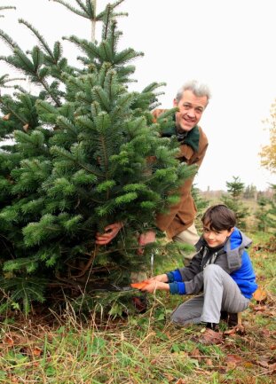 Nicht immer nur Nordmanntanne: Diese Weihnachtsbäume sind auch gefragt - Sohn Max (9) freut sich, wenn er mit seinem Papa Benno von Römer raus auf die Plantage gehen und die Säge anlegen kann. 