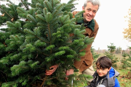 Nicht immer nur Nordmanntanne: Diese Weihnachtsbäume sind auch gefragt - Sohn Max (9) freut sich, wenn er mit seinem Papa Benno von Römer raus auf die Plantage gehen und die Säge anlegen kann. 