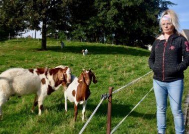 Niederfrohnaerin darf Wiese für ihre Ziegen nicht mehr nutzen - Nicole Wallrath und ihre Ziegen. 