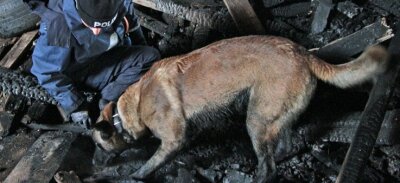 Niederschmiedeberg: Hunde suchen in Ruinen nach Brandbeschleuniger - Polizeiobermeisterin Anja Koch mit ihrem Belgischen Schäferhund Pike. Er ist auf das Aufspüren von Brandbeschleunigern spezialisiert.