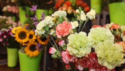 Niedriglöhne - droht Blumenläden in Westsachsen die Personalnot? - Gewerkschaft kritisiert Gehalt unter Mindestlohn-Niveau. 
