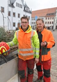 Nun steht auch der Baum am Untermarkt - Jörg Klemm (rechts) und Tim Uhlig hieven die Weihnachtsbäume in ihre Verankerungen. 