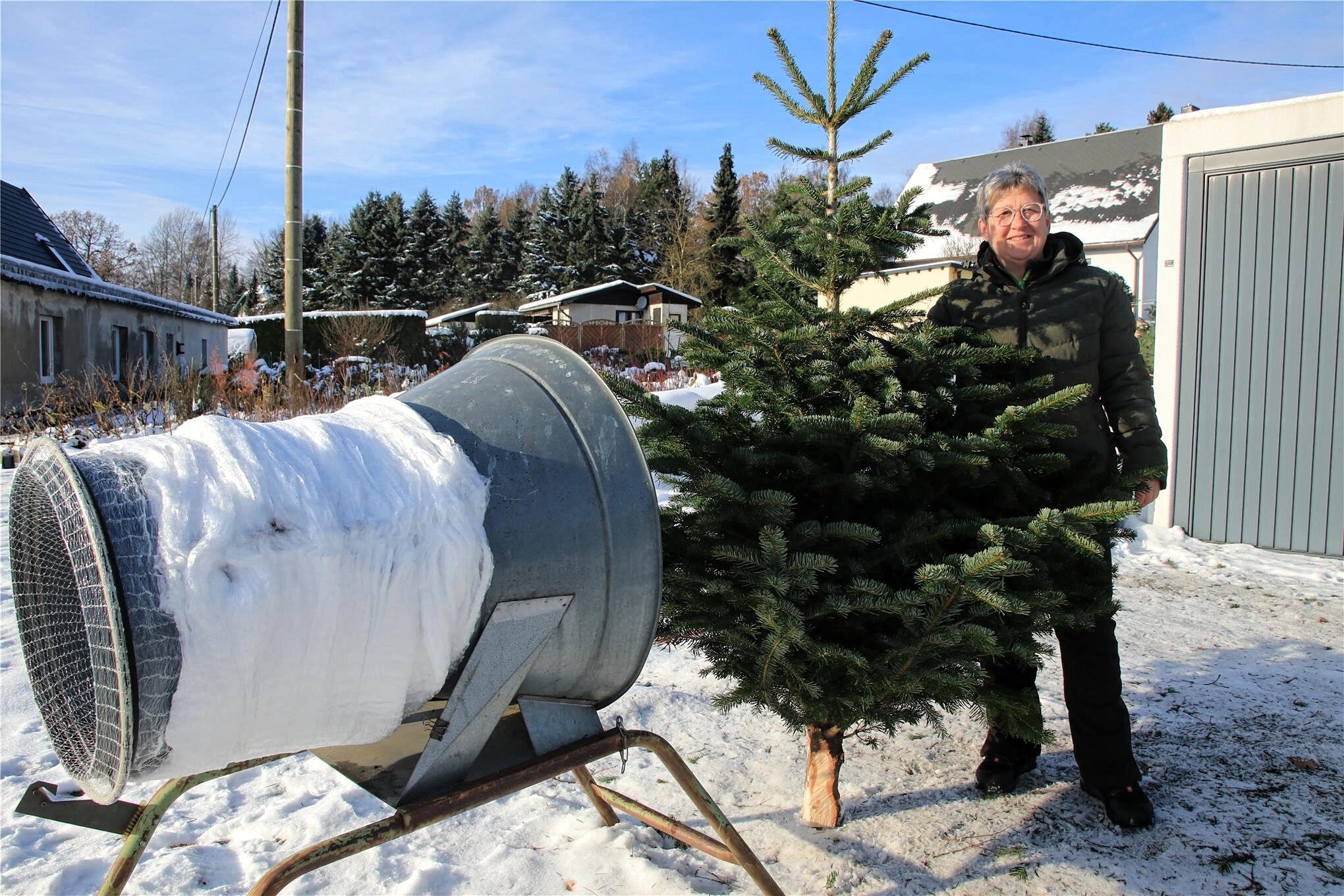 O Tannenbaum, o Tannenbaum Wo im Vogtland gibt‘s Weihnachtsbäume aus