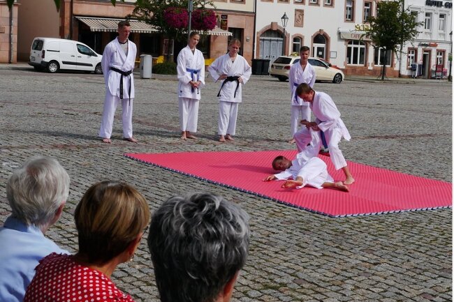 Ob Enkeltrick oder Schockanruf: Sicherheitstag in Rochlitz bietet mehr als gute Ratschläge - Mitglieder des Rochlitzer Sportvereins Karate-Do haben sich am Sicherheitstag mit einer Vorführung ihrer Kampfkunst-Techniken beteiligt. 