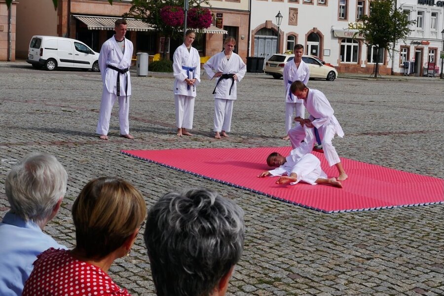 Ob Enkeltrick oder Schockanruf: Sicherheitstag in Rochlitz bietet mehr als gute Ratschläge - Mitglieder des Rochlitzer Sportvereins Karate-Do haben sich am Sicherheitstag mit einer Vorführung ihrer Kampfkunst-Techniken beteiligt. 