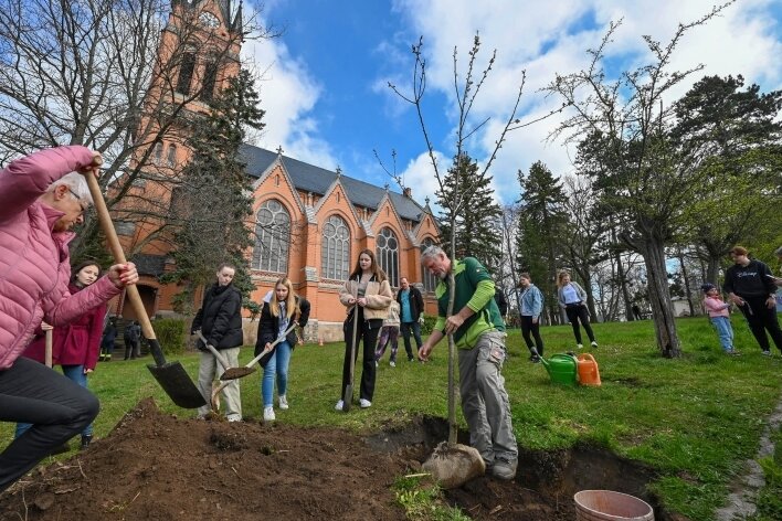 Oberfrohnaer packen gemeinsam im Lutherkirchen-Park an - Mit ihrer Lehrerin und Gartenbauer Holger Siems pflanzten die Zehntklässlerinnen eine Zierkirsche neben der Kirche. 