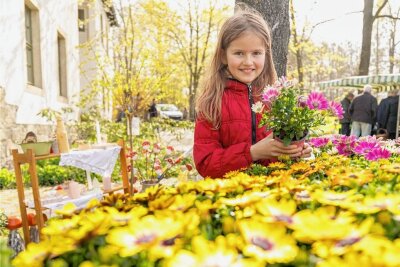 Oberlauterbach macht 1. Mai zum Tag der Gartenarbeit - Die neunjährige Paula Krauß freute sich über die farbige Vielfalt der Frühjahrsblüher. Ihre Eltern kaufen schon seit vielen Jahren Blumen, Gemüse und Obst direkt vom Gärtner. 