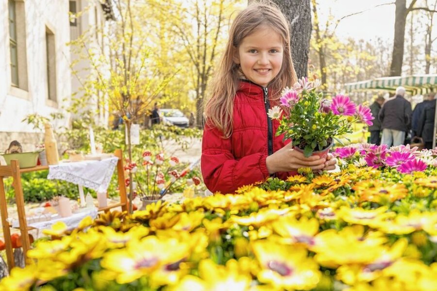 Oberlauterbach macht 1. Mai zum Tag der Gartenarbeit - Die neunjährige Paula Krauß freute sich über die farbige Vielfalt der Frühjahrsblüher. Ihre Eltern kaufen schon seit vielen Jahren Blumen, Gemüse und Obst direkt vom Gärtner. 