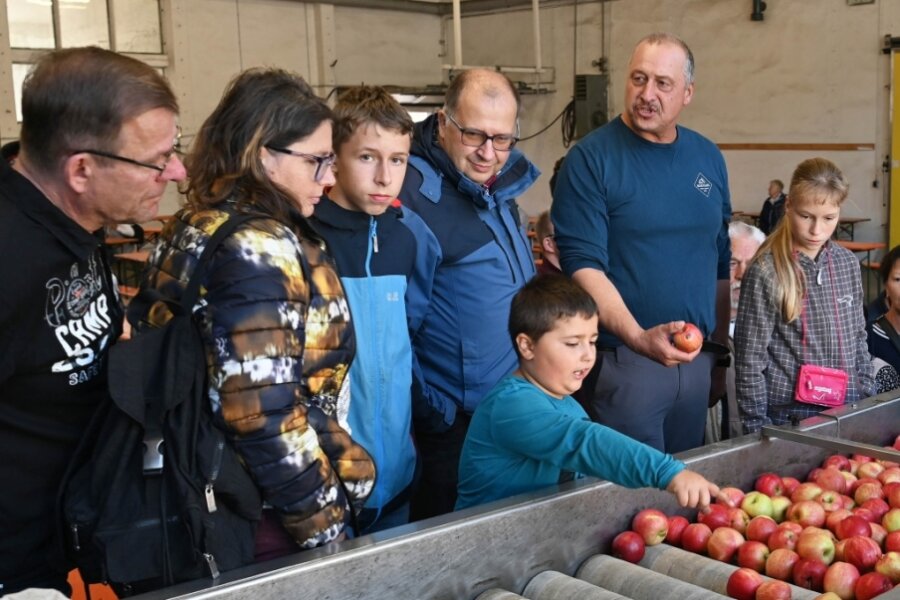 Obstbauern aus Seelitz zeigen bei Hoffest, wie schmackhaft Äpfel sind 