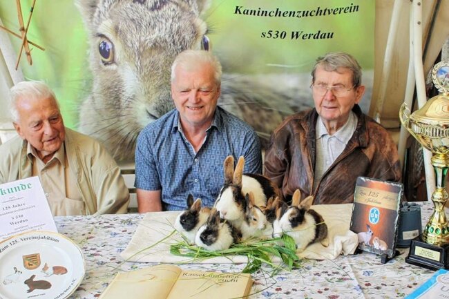 Obwohl sie nur noch zu sechst sind, geben die Rassekaninchenzüchter aus Werdau nicht auf. - Vereinsvorsitzender Bernd Oehler (r.) mit den Zuchtfreunden Karl Rabe (l.) und Volkmar Götz mit einer Hasenfamilie der Rasse Holländer.