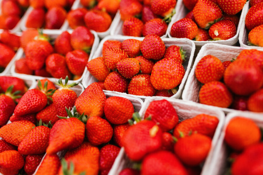 Öko-Test findet Pestizide in Erdbeeren - Symbolbild: Schalen mit frischen Erdbeeren stehen in einer Kiste.