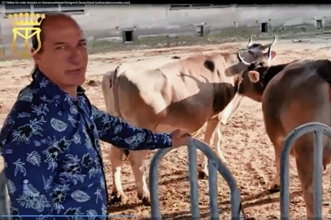 Ökohof in Halsbrücke: "König" Fitzek filmt seinen Antrittsbesuch - Vom "König" ziemlich unbeeindruckt zeigen sich die Kühe auf dem Kanzleilehngut Halsbrücke im Werbevideo des Königreichvereins. 