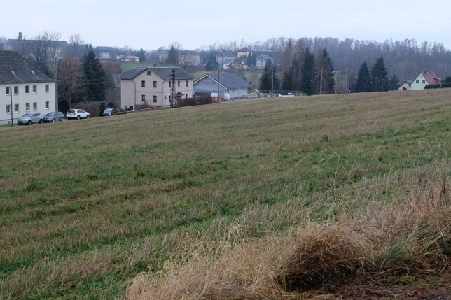 Noch ist es eine landwirtschaftlich genutzte Fläche - das Areal des künftigen Wohngebietes an der Lugauer Straße. Im Hintergrund ist die Concordiahalde zu sehen, daher rührt auch der Name: "Wohngebiet Concordiablick". 